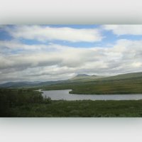 ДОРОГА НА ЯМАЛ из окна поезда :: Tata Wolf