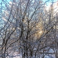 В парке Тондилоо :: Veera V В парке Тондилоо :: Veera V