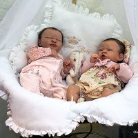 куколки :: Олег Лукьянов