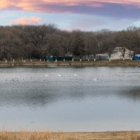 Городское водохранилище :: Игорь Сикорский
