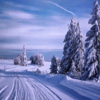 Зимняя красота :: Людмила Смородинская