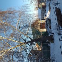 развалюха во  дворе... :: Галина Флора