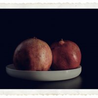 Гранат :: Jakob Dick