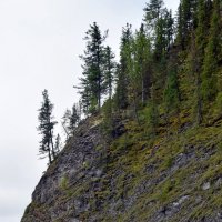 Склон. :: ВикТор Быстров Склон. :: ВикТор Быстров