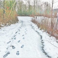 СЛЕДЫ... :: Elvira E. 