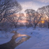 **** :: Елизавета .