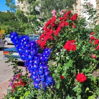 ,,, :: Сергей Тимоновский