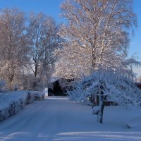 Красивые фрагменты зимы .. :: Татьян@ Ивановна