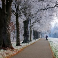 Морозный день :: Юрий. Шмаков