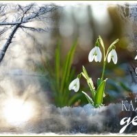 Пусть ярким будет каждый  день ... :: Валентина Надсон