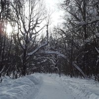 Непредсказуемый февраль... :: Freddy 97