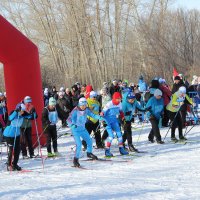 Февраль :: Венера Чуйкова