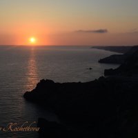 Природа Крыма :: Amazing Cosmea Природа Крыма :: Amazing Cosmea