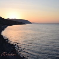 Природа Крыма :: Amazing Cosmea