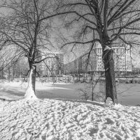 А настроение — февраль... :: Валерий Паршин А настроение — февраль... :: Валерий Паршин