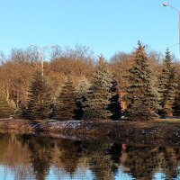 Природа ждёт весну... :: tatyana 