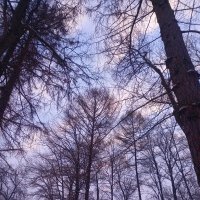 Рассвет :: Сапсан 