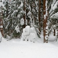 Зимний лес. :: Милешкин Владимир Алексеевич 