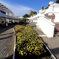 Ривьера :: Tata Wolf