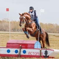 Кросс :: SanSan 