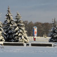 Городские ёлочки :: Ирина Олехнович