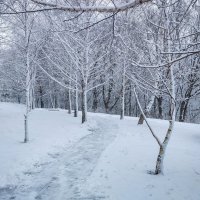 Зимнее творение природы ... :: Ravile 