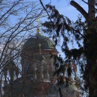 Церковь в ветвях :: Юрий Гайворонскiий