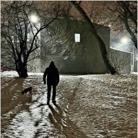 Прогулка после ледяного дождя. Скользко! :: Валерия Комова Прогулка после ледяного дождя. Скользко! :: Валерия Комова