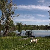 Село Кузнечиха. Татарстан :: MILAV V