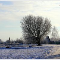 *** :: Aleksandr Gal