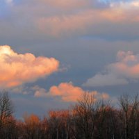 Небесный холст...Облака... :: Татьяна Гнездилова