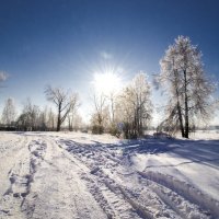 б/н :: Николай 