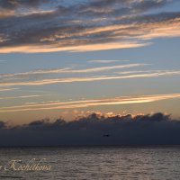 Природа Крыма :: Amazing Cosmea