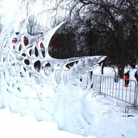 *****февраль** :: Сергей 