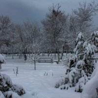 Зимний вечер :: Оксана Новик 