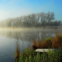 Утро :: Владимир 