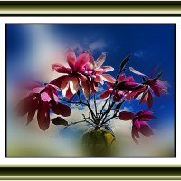 Память о лете :: Владимир Кроливец