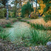 Осенний пейзаж. :: Лилия * Осенний пейзаж. :: Лилия *