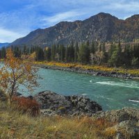 Катунь за Куюсом :: елена беликова Катунь за Куюсом :: елена беликова