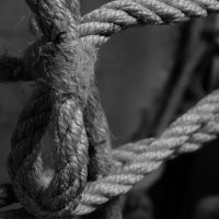 Верёвка :: Сергей Матвеенко