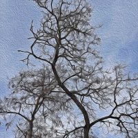 Двое. :: Валентина  Нефёдова 