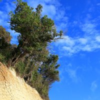 Жажда жизни :: Леонид 