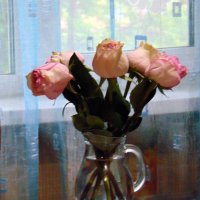 Розы. :: nadyasilyuk Вознюк