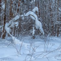 Снежные фигуры :: Сергей Цветков