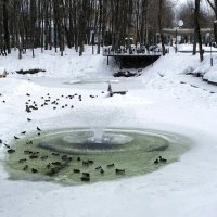 Городской сад в феврале. :: Милешкин Владимир Алексеевич 