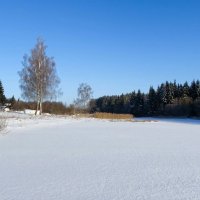 Зима в феврале :: Милешкин Владимир Алексеевич Зима в феврале :: Милешкин Владимир Алексеевич