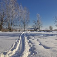 Б/Н :: Николай