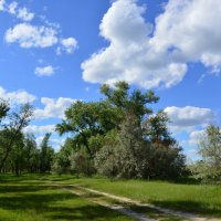 Донские виды. :: Виктор 