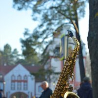 Улица Светлогорска. :: Константин Белоногов