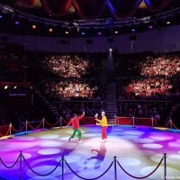 Цирковое представление :: Елена Сухорученкова